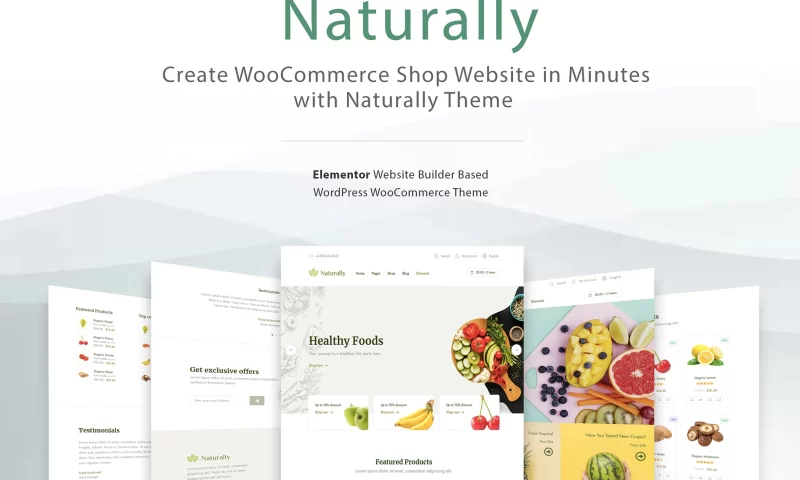 Elementor WooCommerce Ecommerce Shop & Store Theme