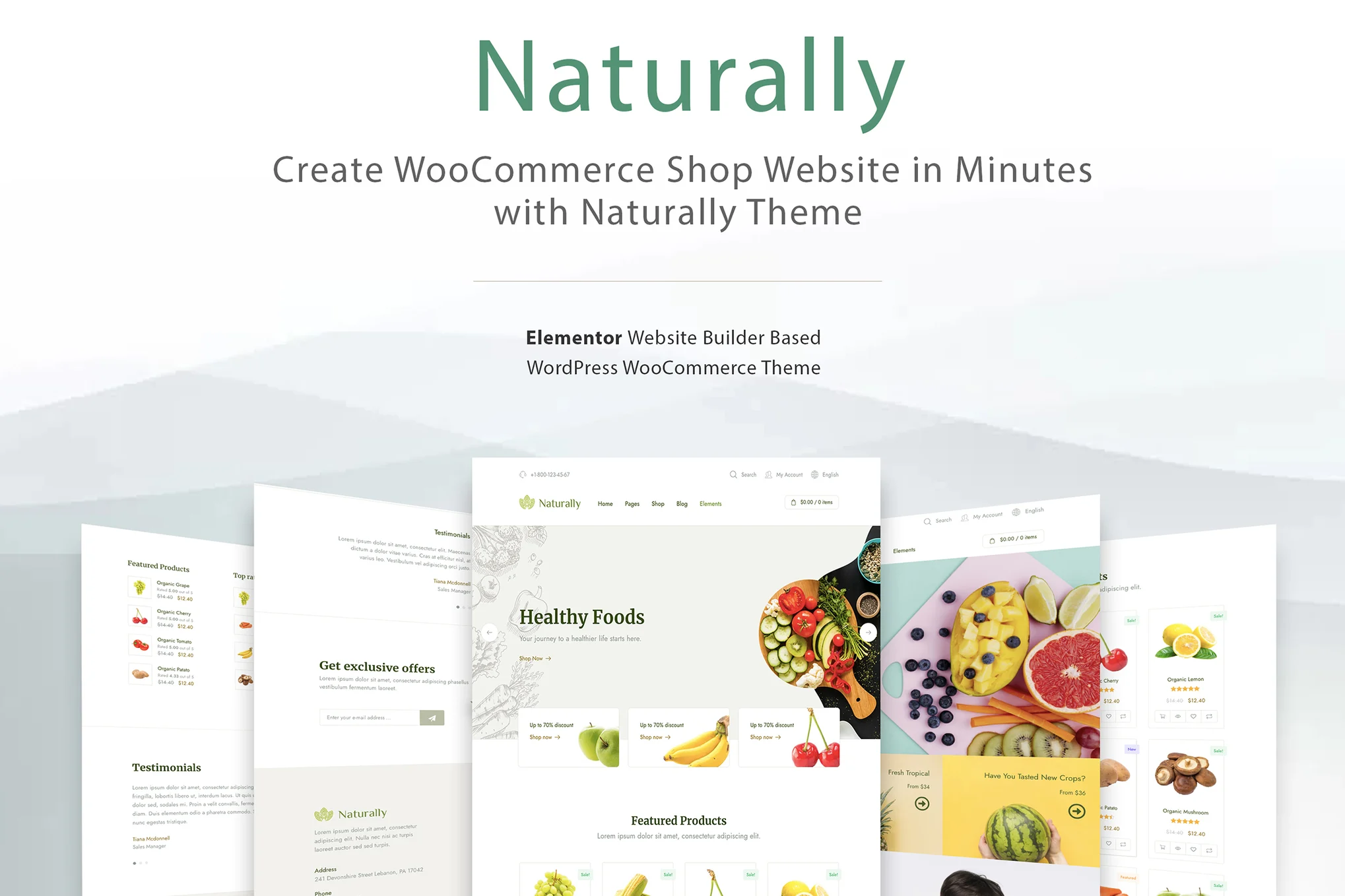 Elementor WooCommerce Ecommerce Shop & Store Theme